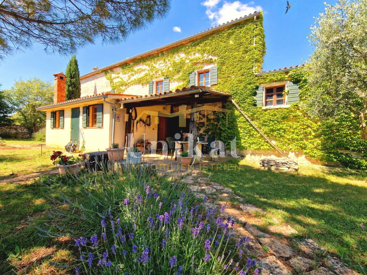 Avtentično posestvo s kamnito hišo in velikim zemljiščem